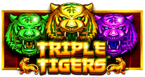 Triple Tigers Pramatic Play joker123 แจกโบนัส แจกเครดิตฟรี