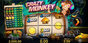 Crazy Monkey Nextspin Joker123th