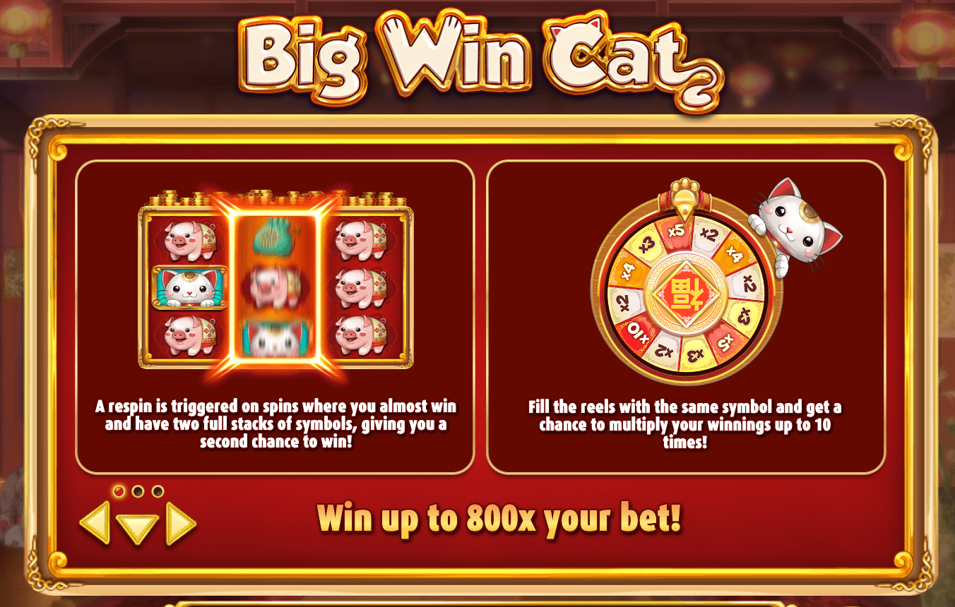 BIG WIN CAT Play'n Go Jokerapp678 c net