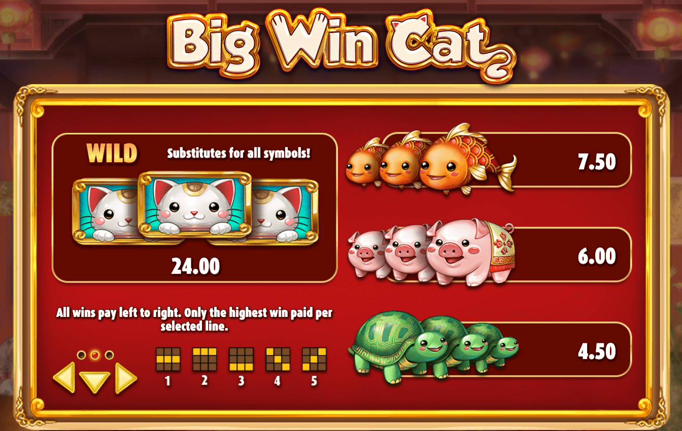 BIG WIN CAT Play'n Go wwwJoker