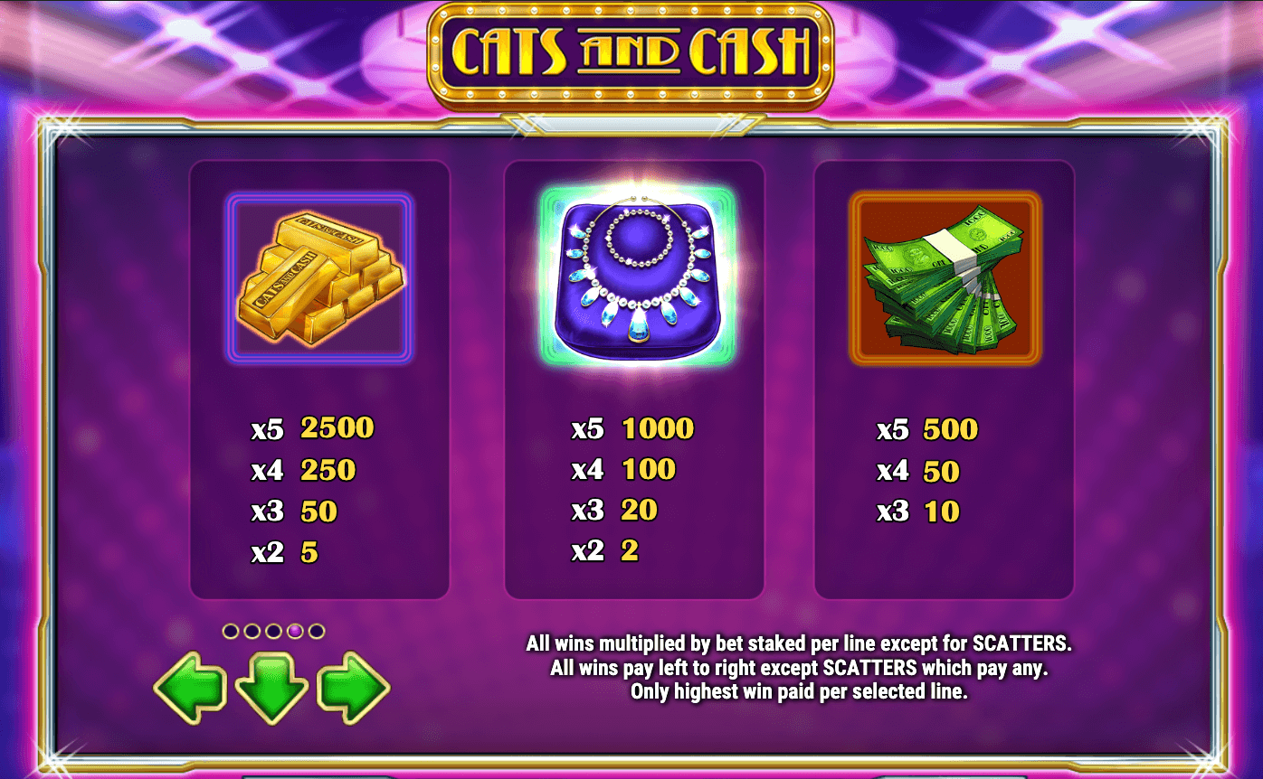 CATS AND CASH Play'n Go Joker1234th