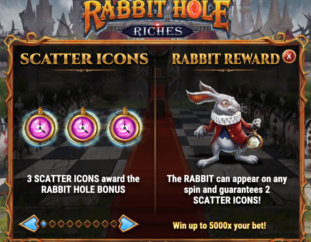 RABBIT HOLE RICHES