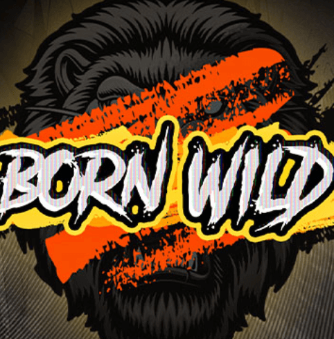 Born Wild Hacksaw Gaming www Joker123