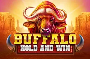 Buffalo Hold and Win Booming Game Joker family