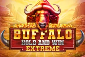 Buffalo Hold and Win Extreme Booming Game www Joker388