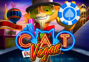 Cat In Vegas Playtech www Joker123