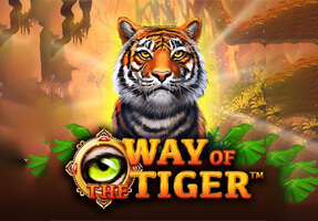 Way of the Tiger Blueprint GamingJoker123th