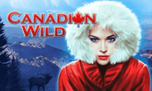 Canadian Wild High 5 Games Joker1234th