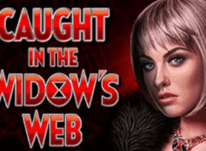 Caught in the Widow’s Web High 5 Games Jokerapp678 c net