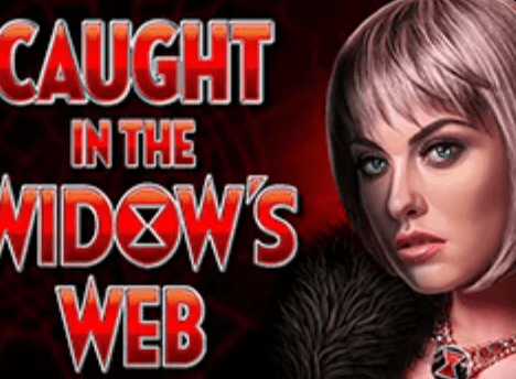 Caught in the Widow’s Web High 5 Games Jokerapp678 c net