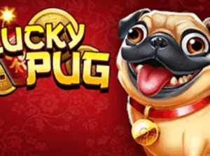 Lucky Pug High 5 Games Joker123th