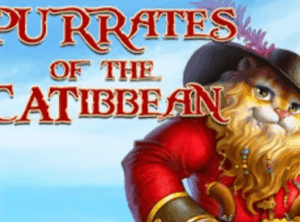 PURRates of the CATibbean High 5 Games wwwJoker123c net