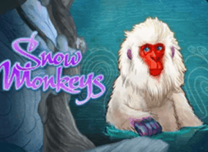Snow Monkeys High 5 Games www Joker388