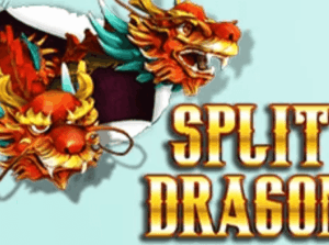 Split Dragon High 5 Games Joker family
