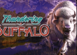Thundering Buffalo High 5 Games www Joker388