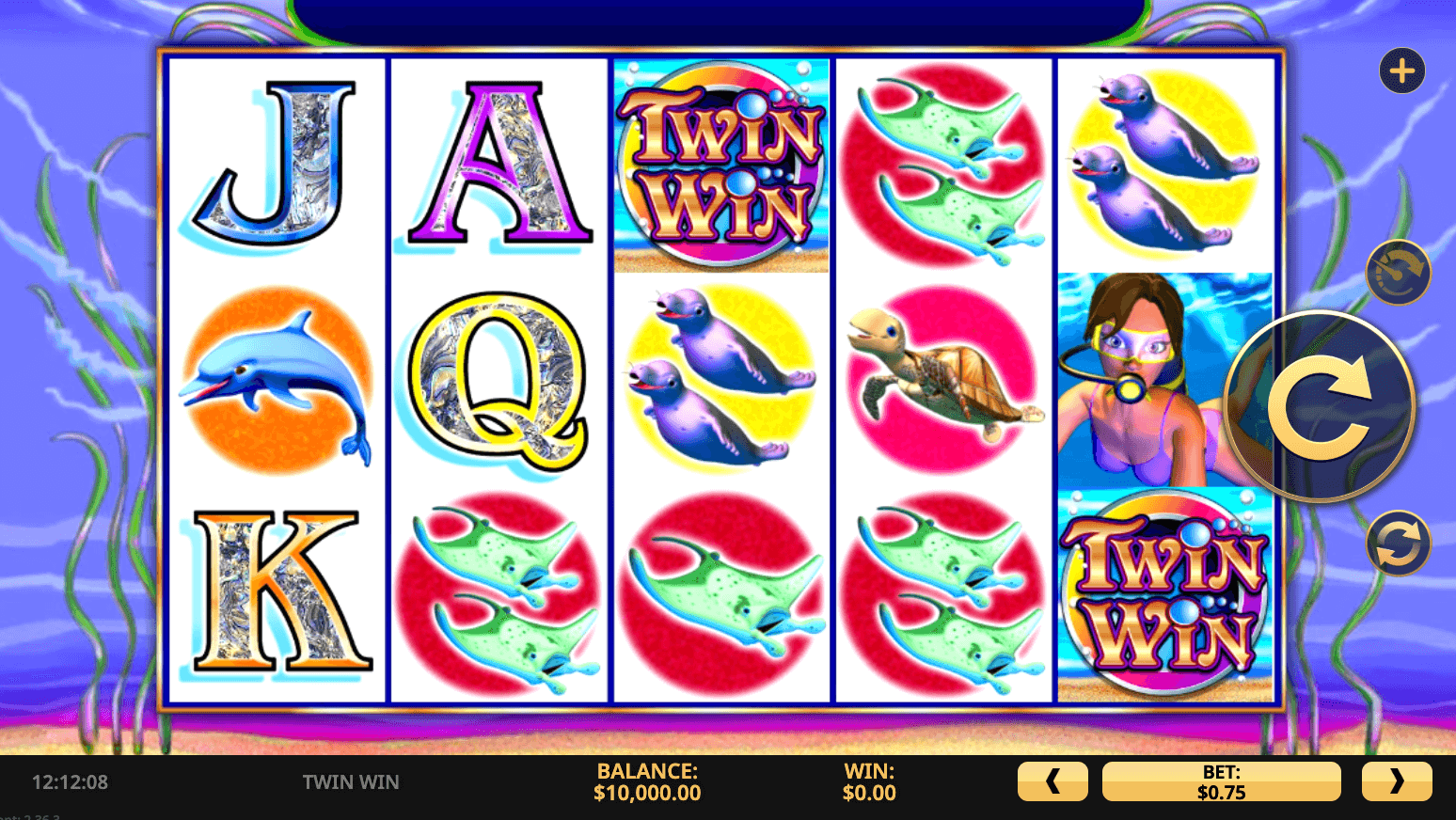 Twin Win High 5 Games Joker family