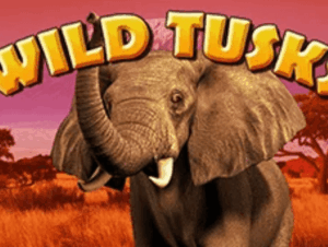 Wild Tusks High 5 Games Joker123 slot