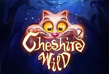 Cheshire Wild Skywind Group Joker family