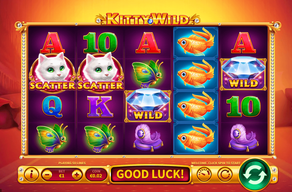 Kitty Wild Skywind Group Jokerapp678 c net