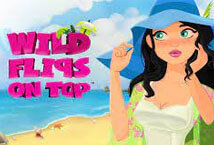 Wild Flips On Top Skywind Group Jokerapp678 c net