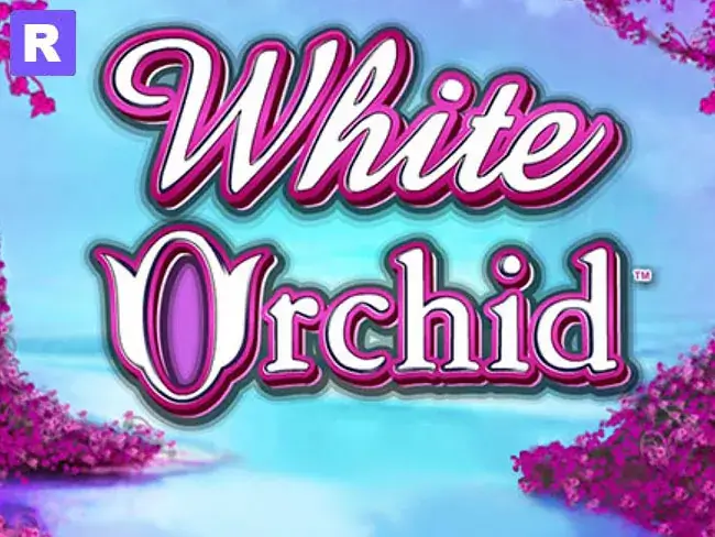 ​​White Orchid IGT Slots Jokerapp678 c net