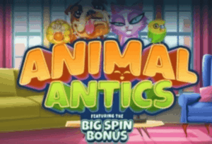 Animal Antics Inspired Slot Jokerapp678 c net