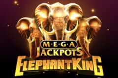 Elephant King MegaJackpots IGT Slots Jokerapp678 c net