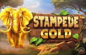 Stampede Gold Betsoft www Joker123