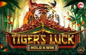 Tiger’s Luck – HOLD & WIN Betsoft game Joker388