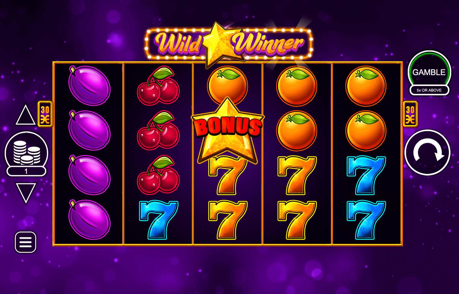 Wild Winner ​​Inspired Slot Wild Winner ​​Inspired Slot