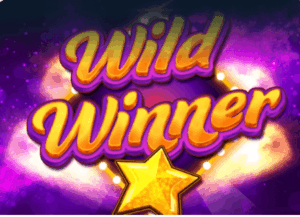 Wild Winner ​​Inspired Slot wwwJoker