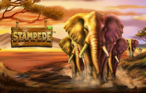 Stampede Betsoft Joker game 123