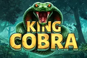 King Cobra Booming Games Joker123 gaming