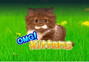 OMG Kittens Light & Wonder Joker123plus
