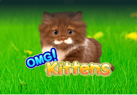OMG Kittens Light & Wonder Joker123plus